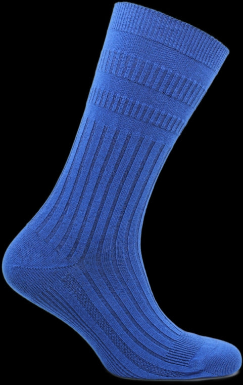 JOSEPH 2PP BLUE SOCKS