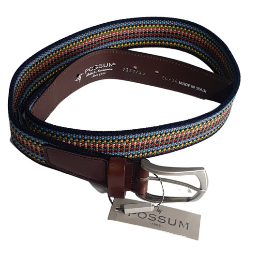 Multicolour Braided Belt
